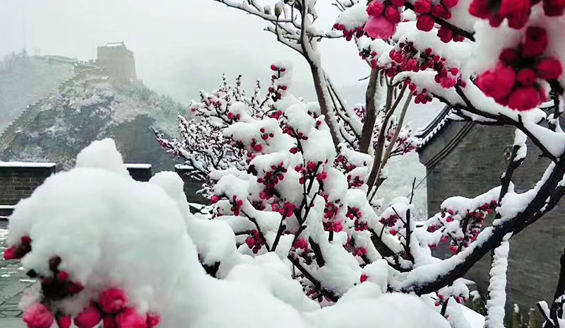 The Great Wall of China in autumn