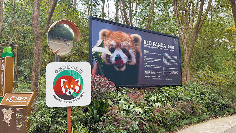 Heading towards Red Panda Activity Area