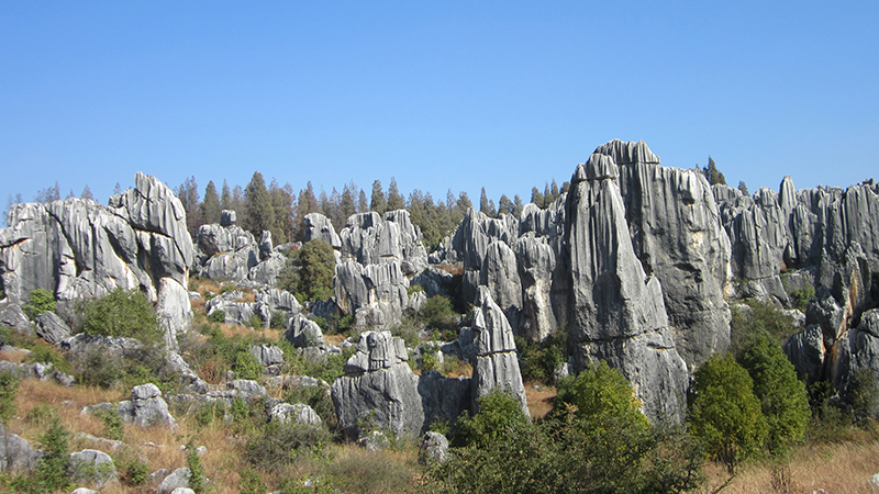 Stone Forest in Kunming