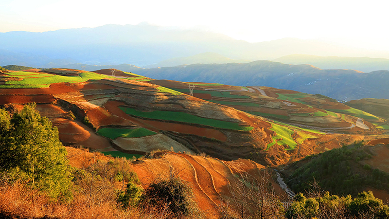 Dongchuan Red Land